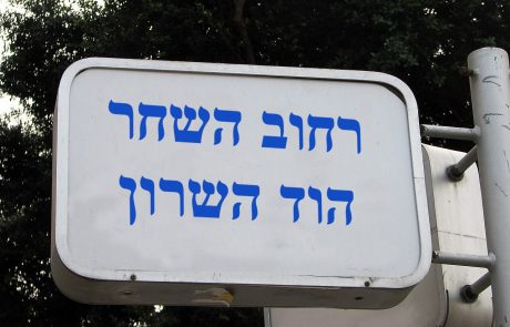 למכירה פנטהאוס דופלקס בהוד השרון
